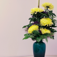 Blumen Zahnarzt Tegel